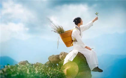 能让你下面水的小黄文分类-肉很生猛粗暴np_酥糖齿轮