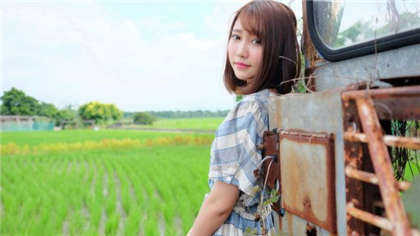 穿成小黄文主后全文-肉肉小说片段_酥糖齿轮