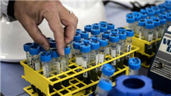 杨德龙：元旦期间港股大涨 节后A股有望实现开门红