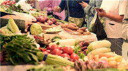 创业板人工智能ETF较历史高点回撤超12%，果断布局还是谨慎观望？