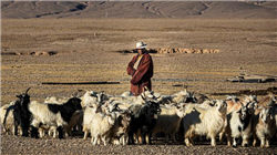 花园生物前三季度净利2.34亿元，同比下降3.07%