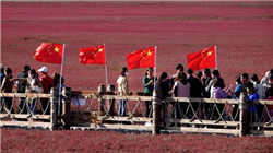 最全梳理！保险逆周期监管，这样出手！