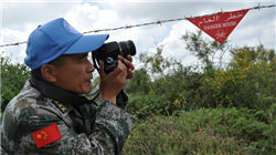 沪指跌0.81%日线录得三连阴，互联网电商、AI应用概念逆势大涨