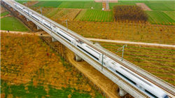 溯联股份：暂无机器人领域的布局