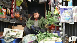 一句话炸掉5000亿美元市值！OpenAI紧急“救火”，AI泡沫临近？