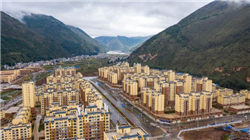 美财长：自由女神像能收，飞机为什么不能