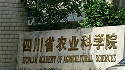 Seedance2.0从“地表最强”变“排队最长”，记者实测：基础会员要排10小时