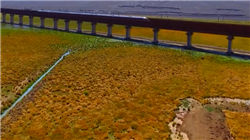 需求走弱，工业硅基本面转向宽松