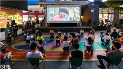 因资不抵债，钟薛高被申请破产