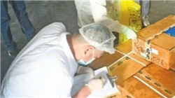 青山纸业9月25日龙虎榜数据