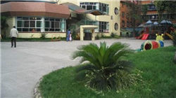 招商策略：明年将形成20年一遇中美共振之年