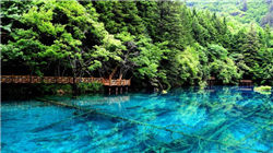 视频 | 收到扣费600多元短信发现买过保险 0.6元保600万？