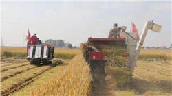 特朗普药品行政令“前路困难重重” 专家质疑其可行性