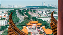 A股10月收官日，创新药赛道大爆发，舒泰神20CM涨停！