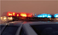 共生伙伴：2025人工智能十大趋势｜2025 WAIC报告重磅发布