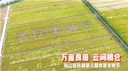 帝科股份前3季净利降九成 A股募4亿IPO光大证券保荐