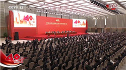 突发！利好来了