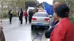 平安寿险保全数字蝶变 以科技力筑牢金融为民根基