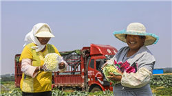 2026年GEO优化公司全景扫描：五大服务商深度测评与趋势推荐