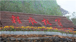 南侨食品募投项目延期：战略调整背后的行业困境与转型阵痛