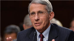 春晚引爆机器人热潮！上百股或受益，节前逾20亿抢筹ETF