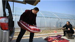 国家金融监督管理总局印发《关于银行业保险业支持福建建设两岸融合发展示范区的若干措施》