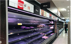 有涨！2025年9月14日鸡蛋价格行情参