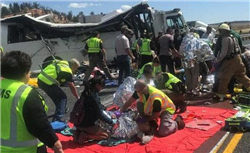 马斯克回应SpaceX推迟火星计划优先推进月球任务